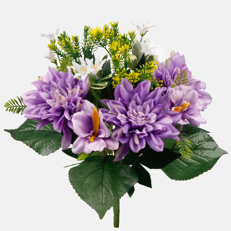 Dahlia /Orchid