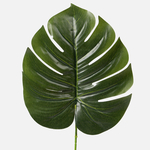 Green (A075)