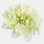 Lt. Green (W536-03)