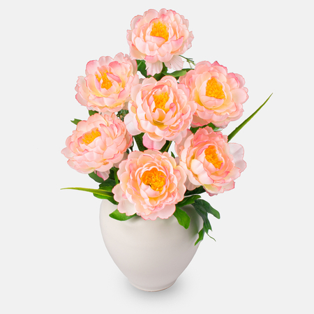 Peony x 7