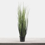 Green (Z223)