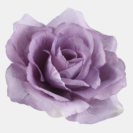 French rose