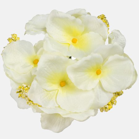 Sating hydrangea