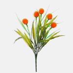 Orange (QA276K-01)
