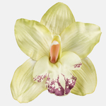 Green (W490-20)