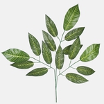 Green (F193-01)