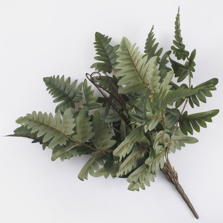 Fern bush
