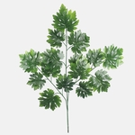 Green (F229-01)