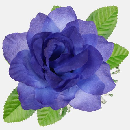 Rose with leaves