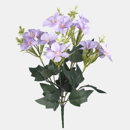 Primrose x 5