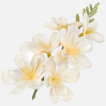 Cream (W677-13)