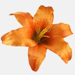 Orange (W197-27)