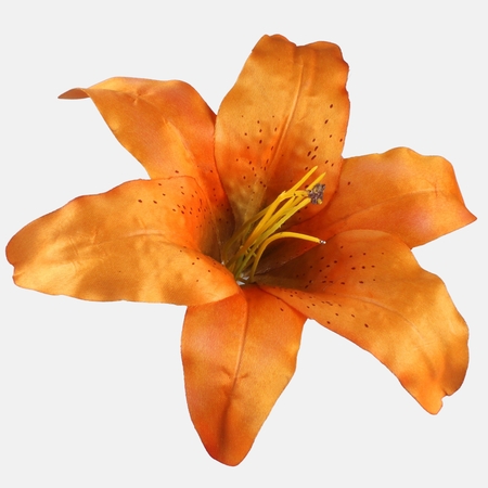 Lily satin