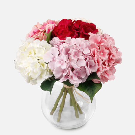 Hydrangea
