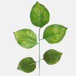 Green (F206-01)