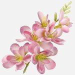 Pink (W677-04)