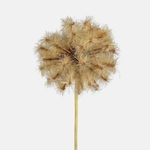Autumn Brown (A767K-03)