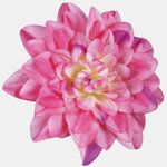 T.T. Pink (W536-20)