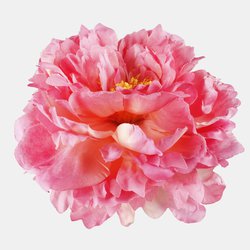 Peony W615