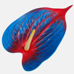 Blue/Red edge (W445-14)