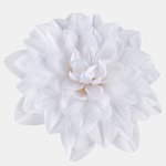 White/Yellow (W536-01)