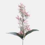 Pink (A786K-04)
