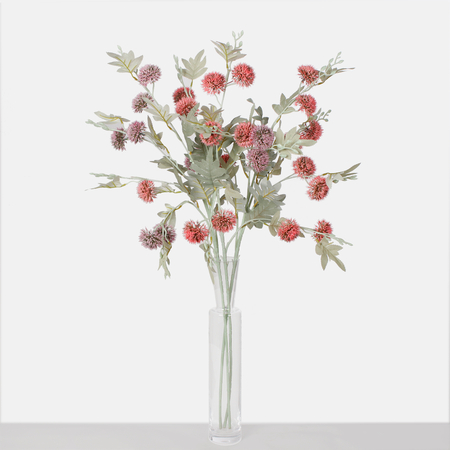 Ornamental thistle