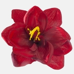 Lt. Red/Black (W613-17)
