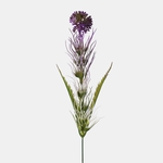 Purple (A778K-03)