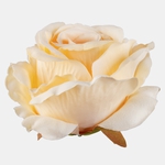 Lt. Yellow (W697-23)