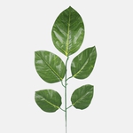 Green (F164-01)