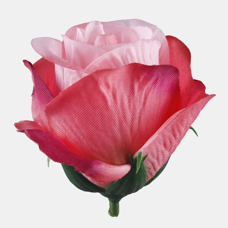 Rose bud