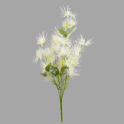 Thistle QA221