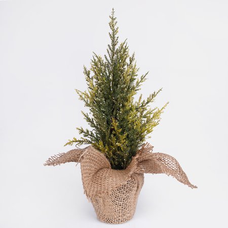 Tabletop christmas cypress tree in a jute pot 28 cm