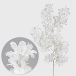 White (L320-01)