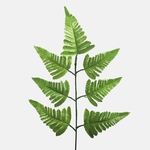 Lt. Green (A796-01)