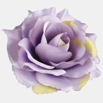 Lilac/Green Edge (W625-20)