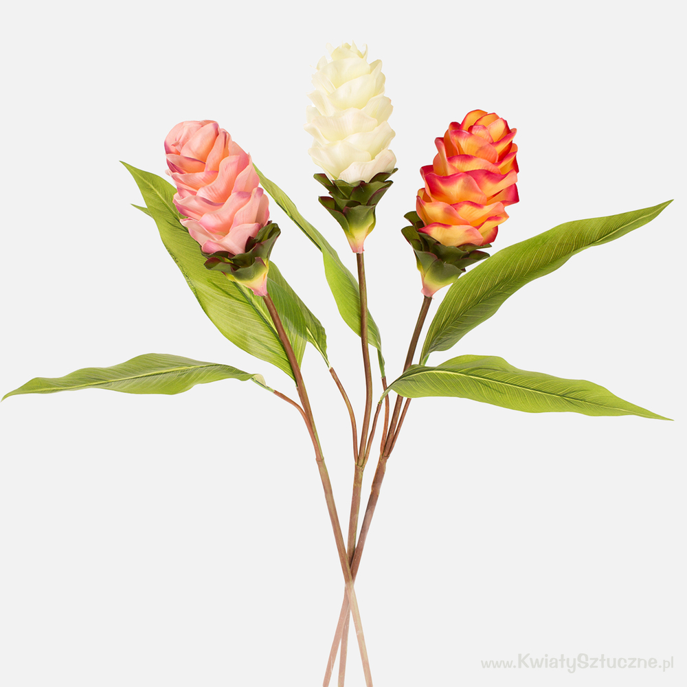 Ginger L817 Artificial flower and artificial plant