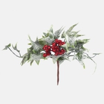 Red/Frosty Green (A817S-01)