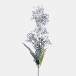 Violet (A786K-03)