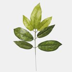 Green/Lt. Green (F010-03)