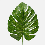 Green (A082-01)