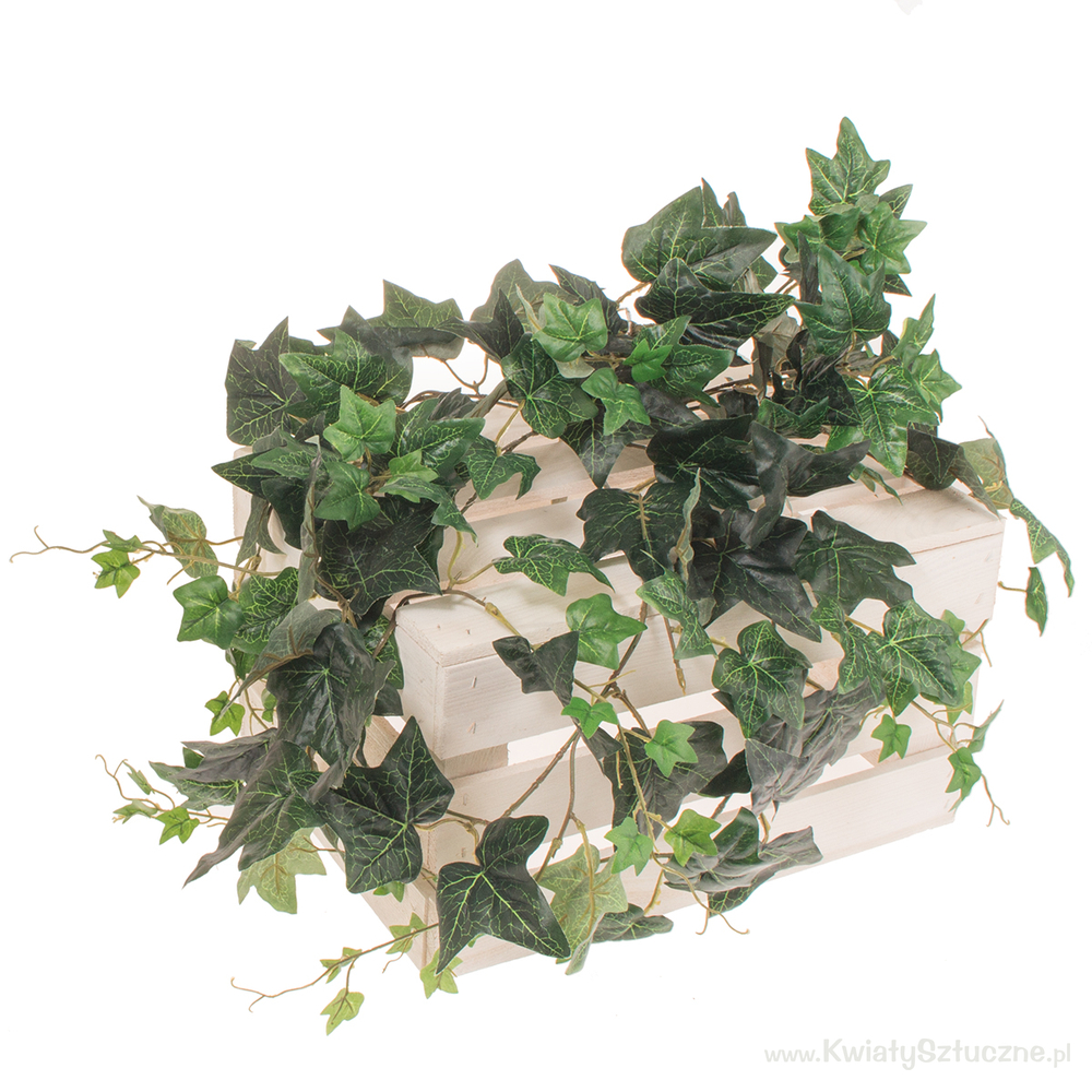 English B034 Artificial creepers