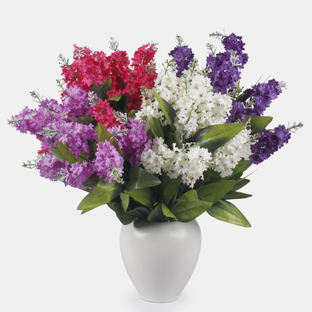 Lilac x 11