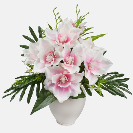 Magnolia