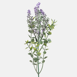 Lilac/Green (A496K-01)