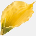 Yellow (W574-18)