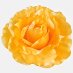 Yellow (W544-03)