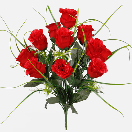 Rose in bud x 12