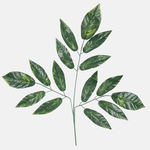 Green (F194-01)